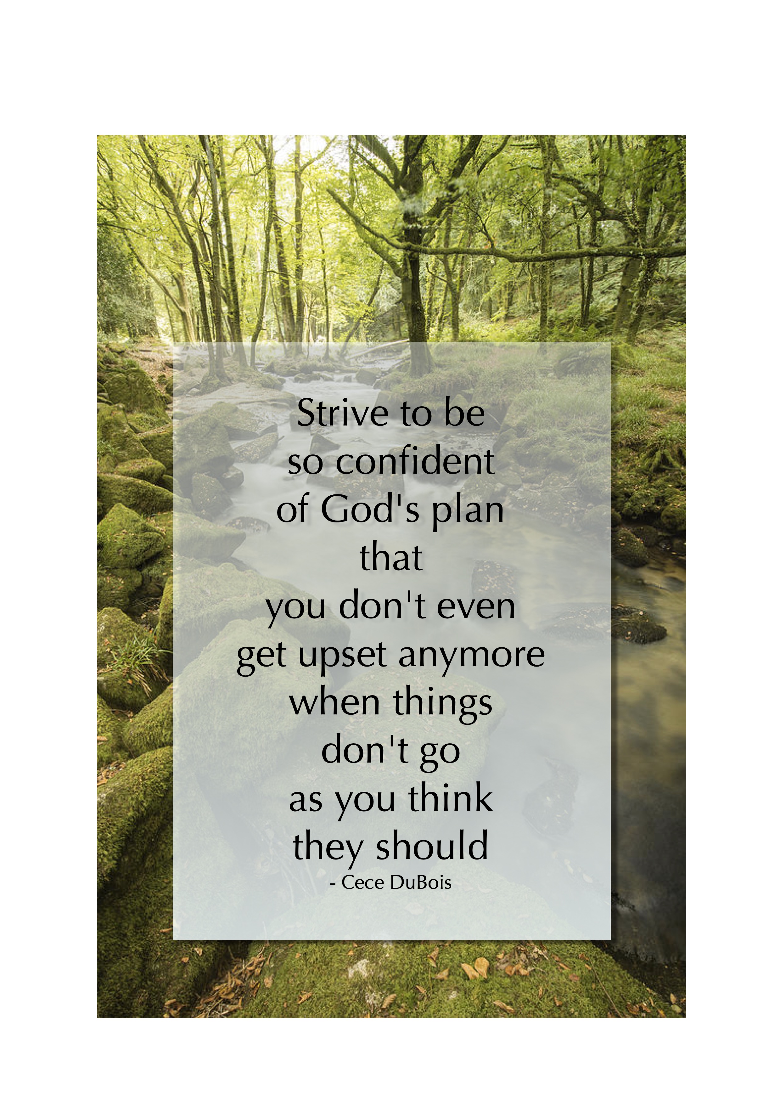 Strive to be so confident of God's plan that you don't even get upset anymore when things don't go as you think they should — Cece DuBois
